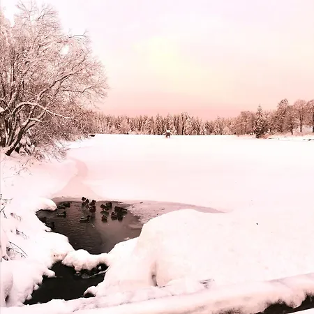 Apartament Hahnenklee Mit Seeblick Im Harz