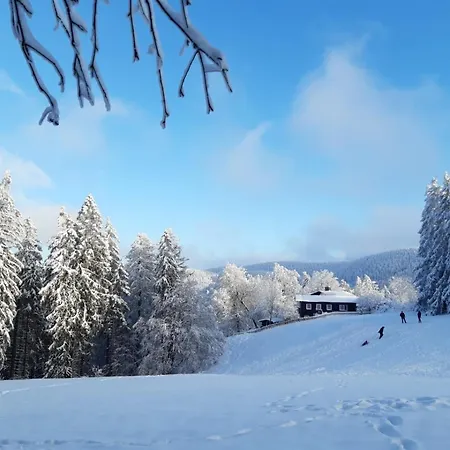 Hahnenklee Mit Seeblick Im Harz Apartment *