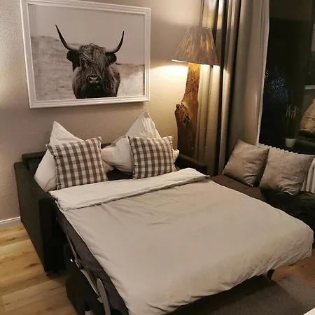 Hahnenklee Mit Seeblick Im Harz * Goslar