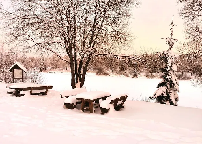 Daire Hahnenklee Mit Seeblick Im Harz Goslar