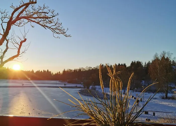 Hahnenklee Mit Seeblick Im Harz Goslar