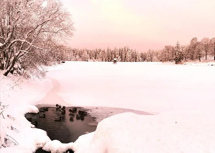 Daire Hahnenklee Mit Seeblick Im Harz