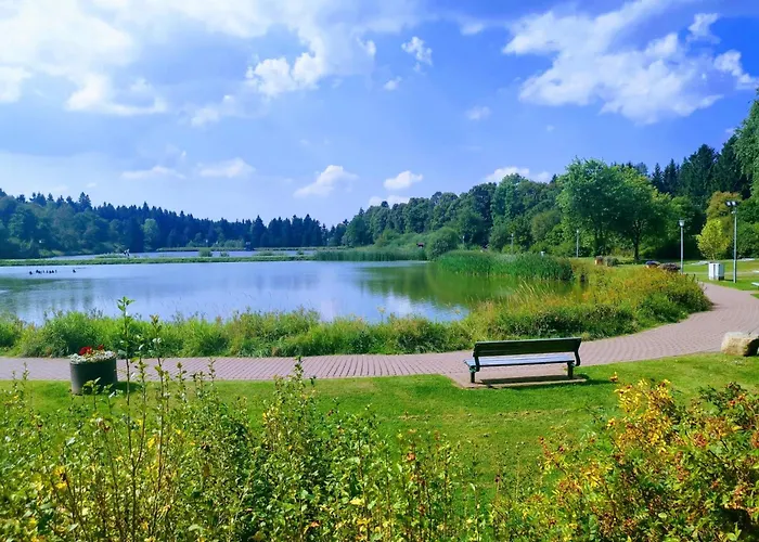 Hahnenklee Mit Seeblick Im Harz Daire