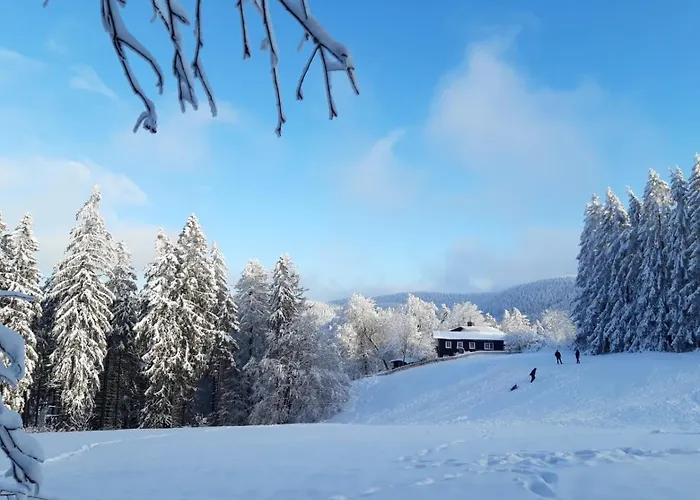 Hahnenklee Mit Seeblick Im Harz Daire *